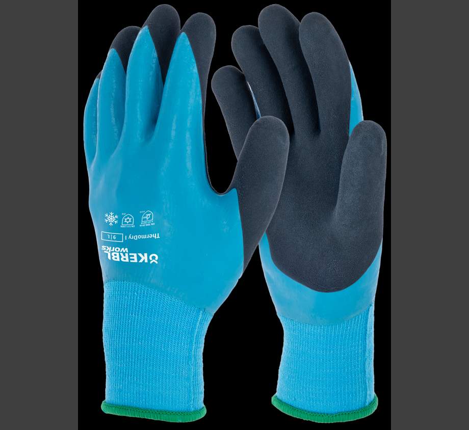 Handschuh ThermoDry I