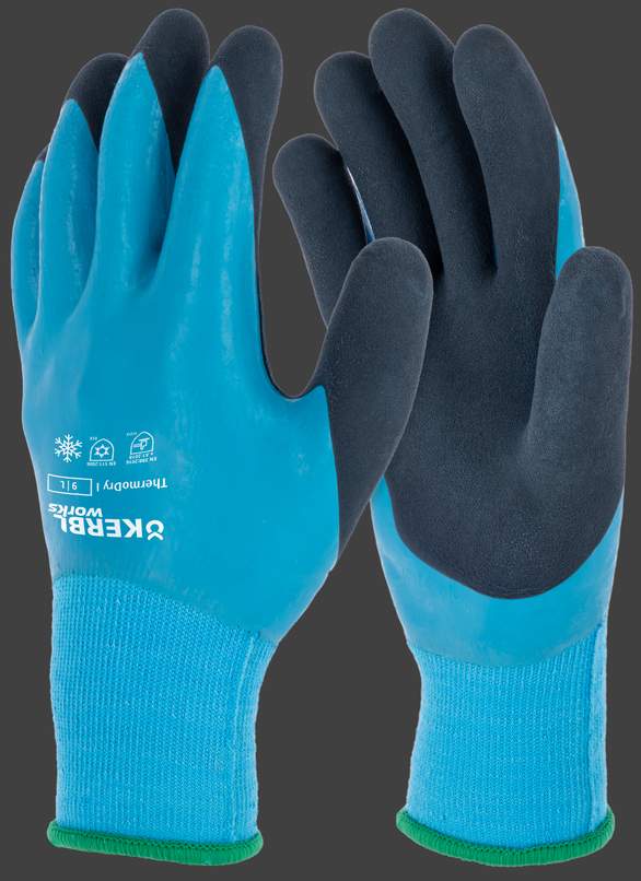 Handschuh ThermoDry I
